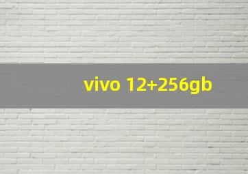 vivo 12+256gb